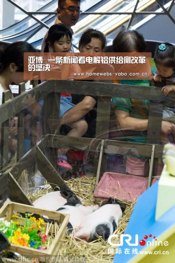 亚博-一条新闻看电解铝供给侧改革的坚决(图3) 亚博官方网站