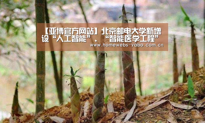 亚博官方网站