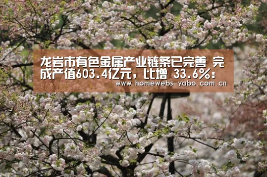 龙岩市有色金属产业链条已完善 完成产值603.4亿元,比增 33.6%:亚博(图2) 亚博官方网站